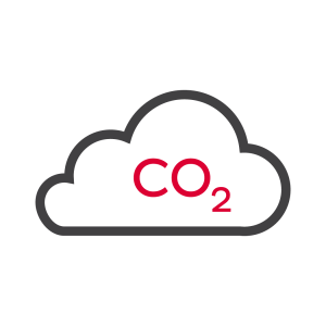 DPD carbon neutral