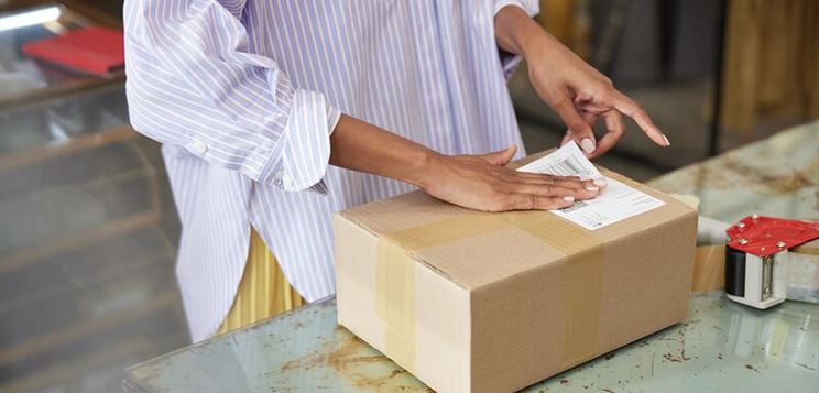 01_DPD Web Parcel