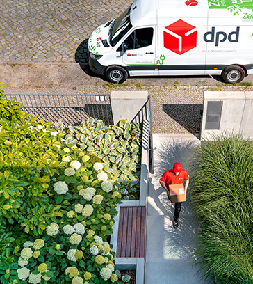 dpd driver delivers parcels through a green garden, green van in the background
