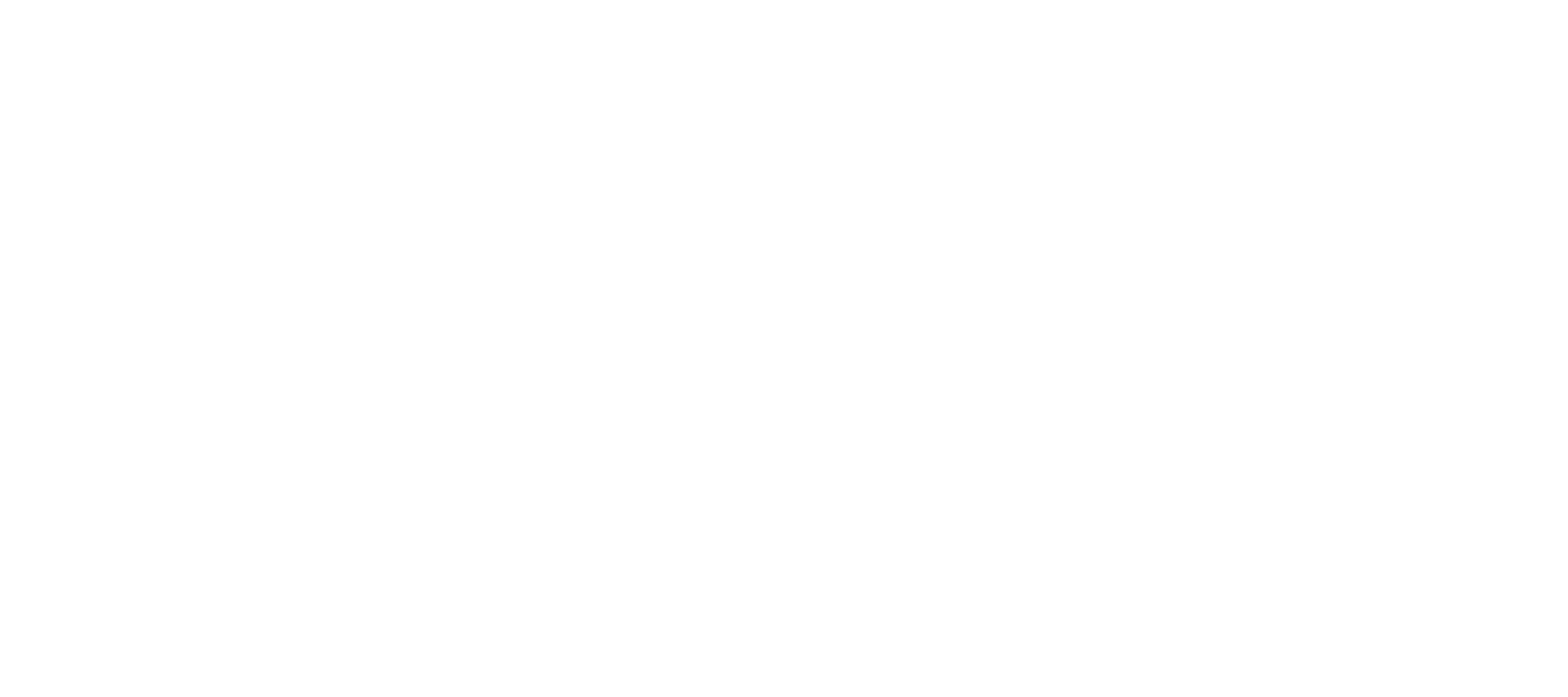 dpd logo white