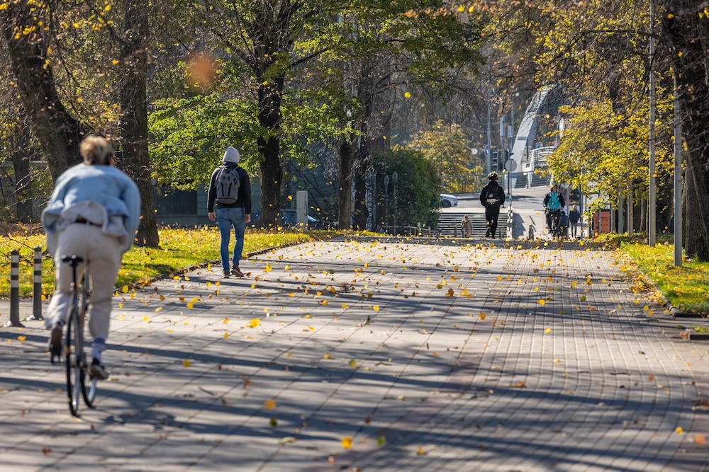 judu vilnius