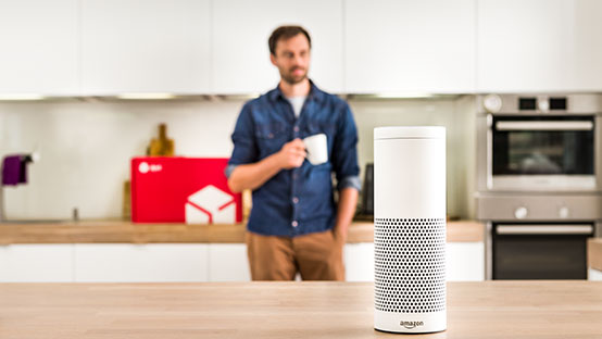 Support - DPD - Sprachassistenten - Alexa und Google Home
