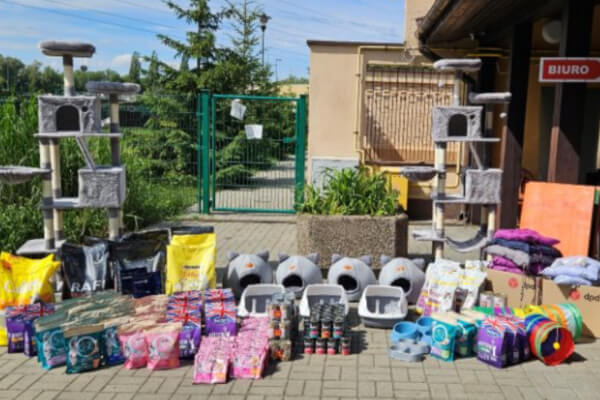Zgromadzone dary dla schroniska w Szczecinku, w tym drapaki, karmy, kuwety i inne akcesoria dla bezdomnych kotów, ułożone przed wejściem do budynku schroniska.