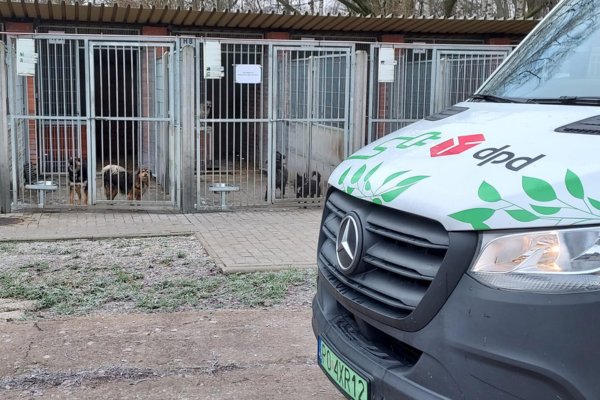 Samochód DPD Polska z zielonym logo przed schroniskiem dla psów, w ramach akcji wsparcia zwierząt.