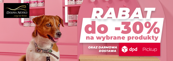 ING Banner pod rotatorem strona Główna DPD Uśmiechnięta kobieta siedzi przy biurku