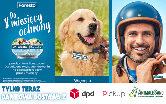 Tylko teraz darmowa dostawa z DPD Pickup Animale Sano Do 8 Miesięcy ochrony pies a obok osoba w kask