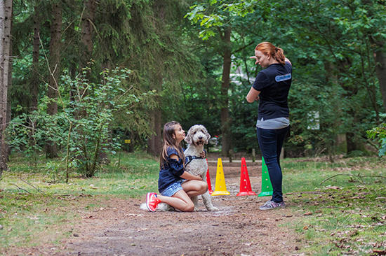 Stichting Hulphond
