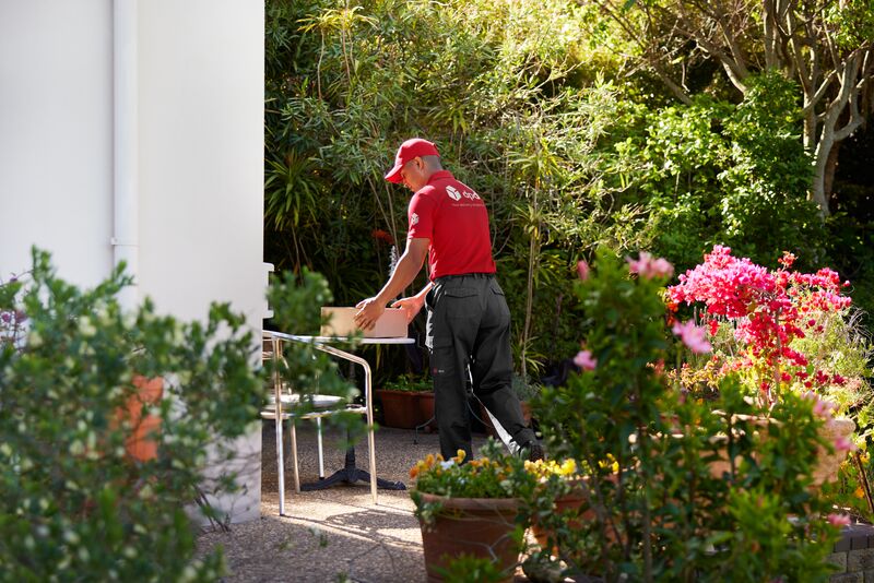 Écran d’options de reprogrammation