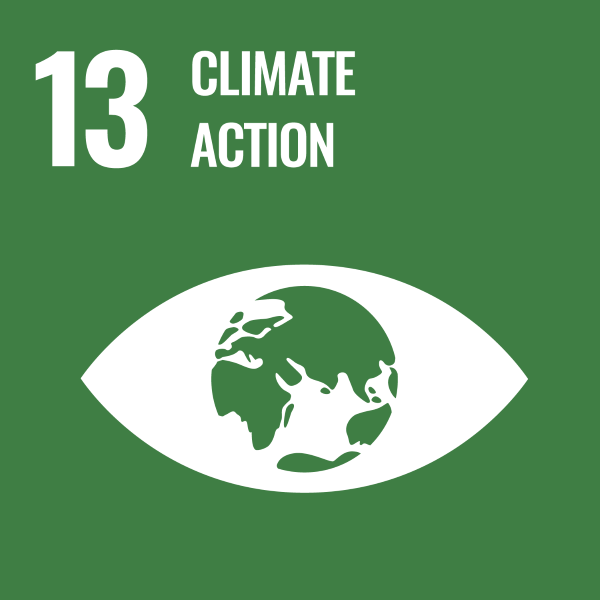 UN Goal Climate action