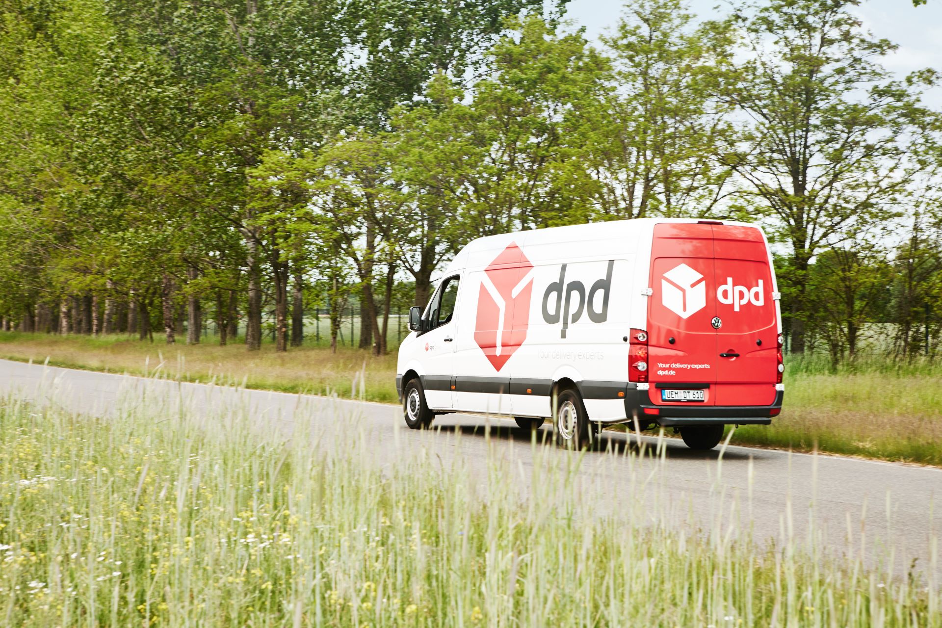 dpd-bildmotiv_Sommer.jpg