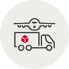 International delivery icon