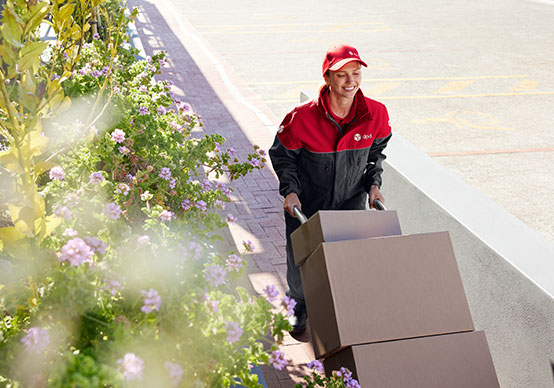 DPD-Zusteller liefert Pakete aus dem Lieferfahrzeug aus und stellt Sendungen beim Kunden zu.